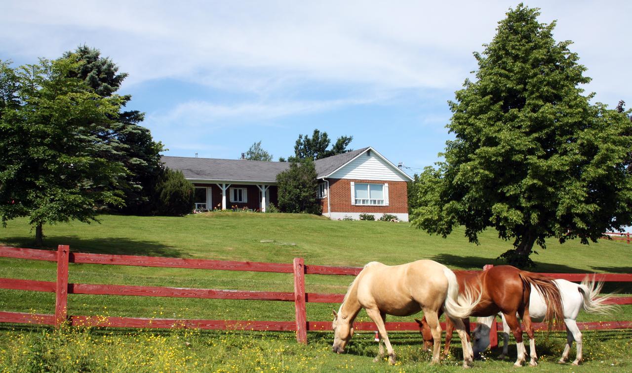 Bed and Breakfast Ranch St-Hubert Saint-Hermenegilde Exteriér fotografie